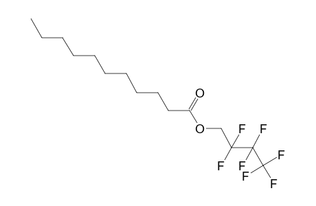 Undecanoic acid, 2,2,3,3,4,4,4-heptafluorobutyl ester