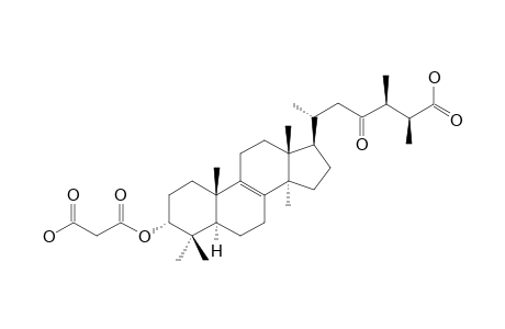 CARBOXYACETYL-QUERCINIC-ACID