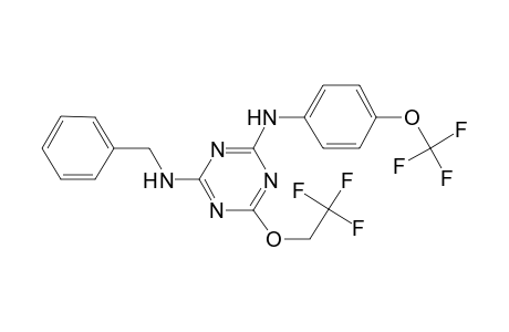 4-N-benzyl-6-(2,2,2-trifluoroethoxy)-2-N-[4-(trifluoromethoxy)phenyl]-1,3,5-triazine-2,4-diamine