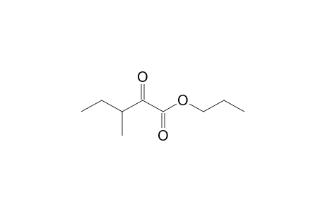 Propyl 3-methyl-2-oxopentanoate