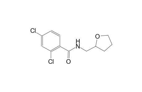 2,4-dichloro-N-(tetrahydro-2-furanylmethyl)benzamide