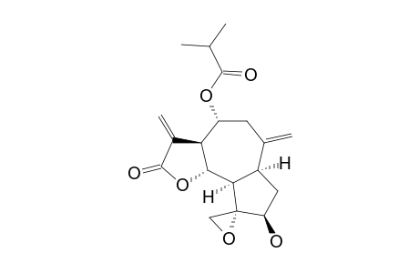 4alpha,15-EPOXY AGUERIN A