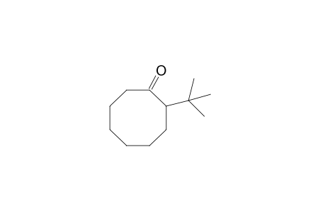 2-tert-Butylcyclooctanone