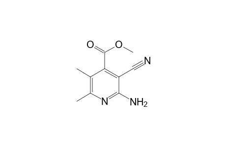 2-Amino-3-cyano-5,6-dimethyl-isonicotinic acid methyl ester