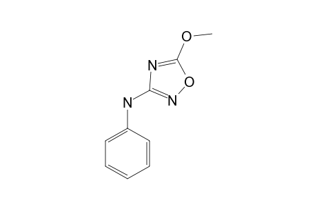 3-ANILINO-5-METHOXY-1,2,4-OXADIAZOLE