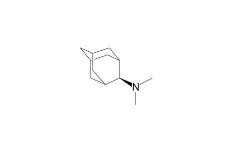 2-Dimethylamino-adamantane