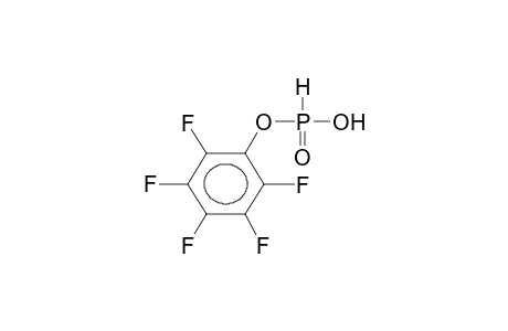 PENTAFLUOROPHENYLPHOSPHOROUS ACID