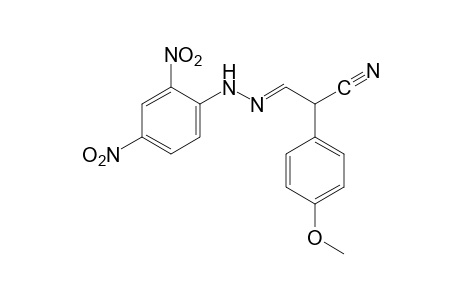 2-(p-methoxyphenyl)malonaldehydonitrile, (2,4-dinitrophenyl)hydrazone