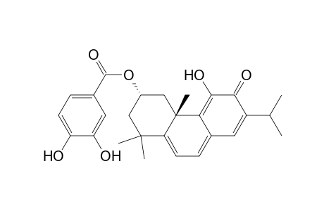 Benzoic acid, 3,4-dihydroxy-, 1,2,3,4,4a,6-hexahydro-5-hydroxy-1,1,4a-trimethyl-7-(1-methylethyl)-6 -oxo-3-phenanthrenyl ester, (3S-trans)-