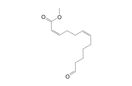 METHYL-(2Z,6Z)-12-OXO-DODECA-2,6-DIENOATE