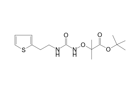 Propanoic acid, 2-methyl-2-[[[[[2-(2-thienyl)ethyl]amino]carbonyl]amino]oxy]-, 1,1-dimethylethyl ester