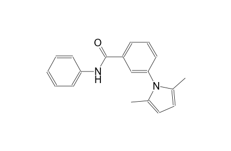 3-(2,5-dimethyl-1H-pyrrol-1-yl)-N-phenylbenzamide