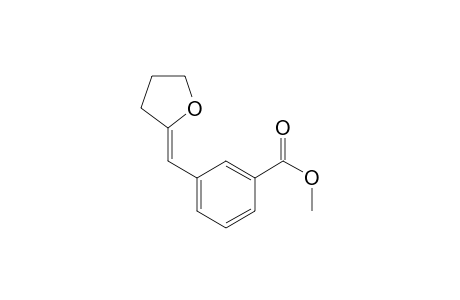 Benzoic acid, 3-[(dihydro-2(3H)-furanylidene)methyl]-, methyl ester, (Z)-