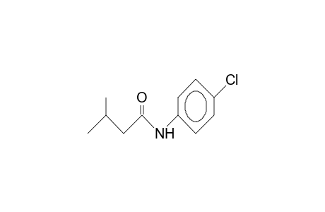 N-(4-Chloro-phenyl)-3-methyl-butanamide