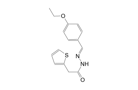 N'-[(E)-(4-ethoxyphenyl)methylidene]-2-(2-thienyl)acetohydrazide
