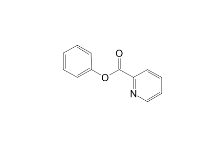 Phenyl picolinate