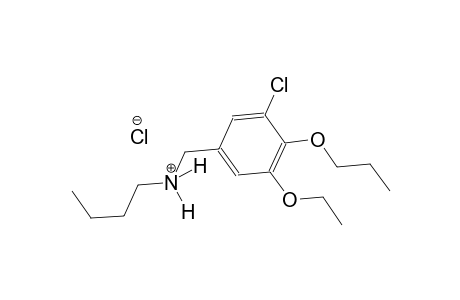 N-(3-chloro-5-ethoxy-4-propoxybenzyl)-1-butanaminium chloride