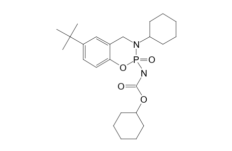 2-CYCLOHEXYLCARBAMATO-6-(1,1-DIMETHYLETHYL)-3-CYCLOHEXYL-3,4-DIHYDRO-2H-1,3,2-BENZOXAZAPHOSPHORINE-2-OXIDE