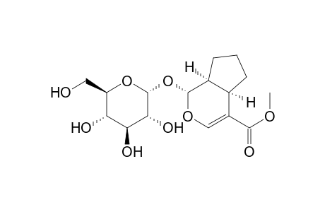 Cyclopenta[c]pyran-4-carboxylic acid, 1-(.alpha.-D-glucopyranosyloxy)-1,4a,5,6,7,7a-hexahydro-, methyl ester, [1R-(1.alpha.,4a.alpha.,7a.alpha.)]-