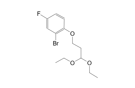 2-bromo-1-(3,3-diethoxypropoxy)-4-fluorobenzene