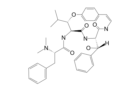 SCUTIANINE_D