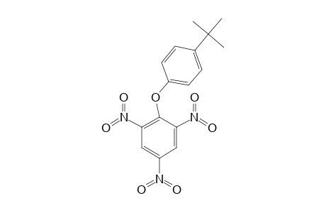 1-(4-TERTBUTYLPHENOXY)-2,4,6-TRINITROBENZENE