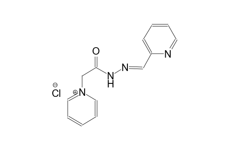 pyridinium, 1-[2-oxo-2-[(2E)-2-(2-pyridinylmethylene)hydrazino]ethyl]-, chloride