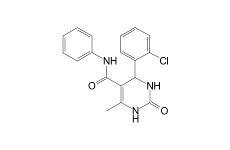 1,2,3,4-Tetrahydro-6-methyl-4-(2-chlorophenyl)-2-oxo-N-phenylpyrimidine-5-carboxamide