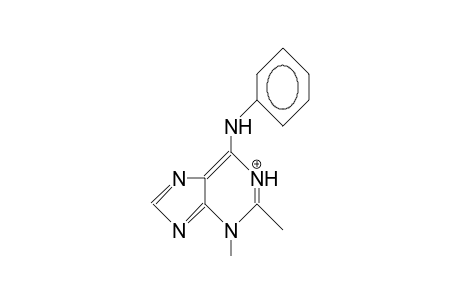 2,3-Dimethyl-N-phenyl-3H-purin-6-amine cation