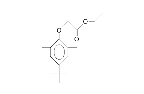 4-(Ethoxycarbonylmethoxy)-3,5-dimethyl-tert-butyl-benzene