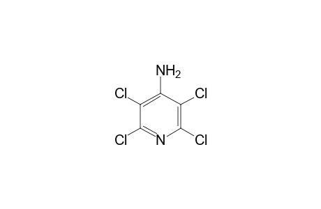 (2,3,5,6-tetrachloro-4-pyridyl)amine