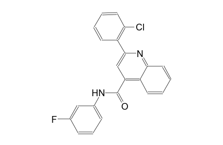 2-(2-chlorophenyl)-N-(3-fluorophenyl)-4-quinolinecarboxamide