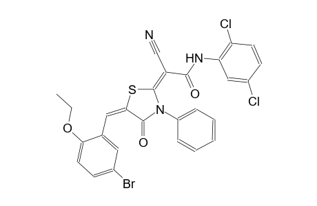 (2E)-2-[(5E)-5-(5-bromo-2-ethoxybenzylidene)-4-oxo-3-phenyl-1,3-thiazolidin-2-ylidene]-2-cyano-N-(2,5-dichlorophenyl)ethanamide