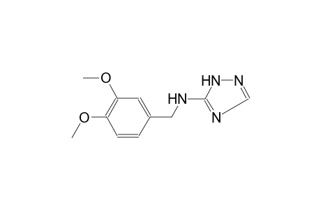 N-(3,4-dimethoxybenzyl)-N-(1H-1,2,4-triazol-5-yl)amine