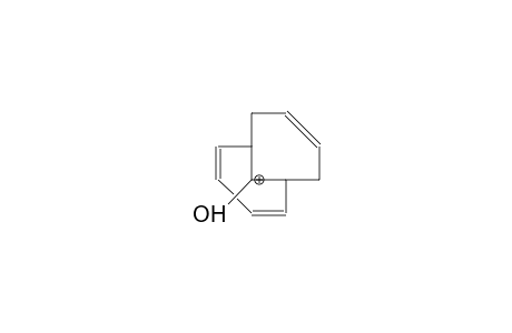 11-Hydroxy-bicyclo(4.4.1)undeca-2,4,8-trien-11-yl-cation