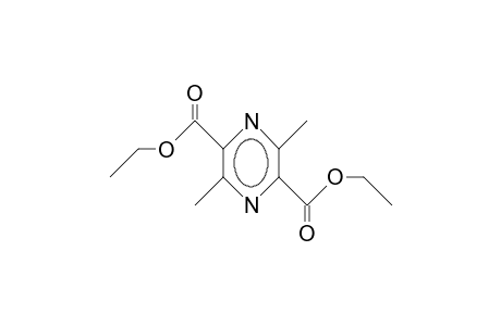 2,5-Dimethyl-pyrazine-3,6-dicarboxylic acid, diethyl ester
