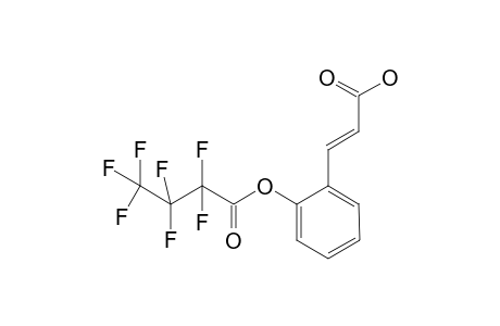 m-Coumaric acid HFB