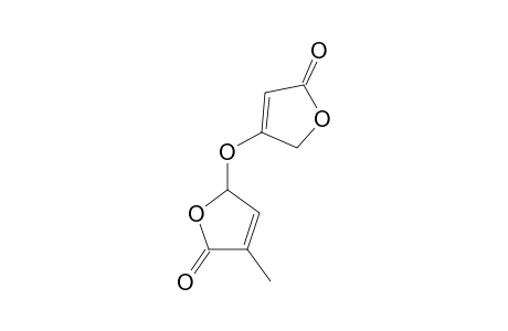3-METHYL-5-(5-OXO-2,5-DIHYDROFURAN-3-YLOXY)-FURAN-2(5H)-ONE