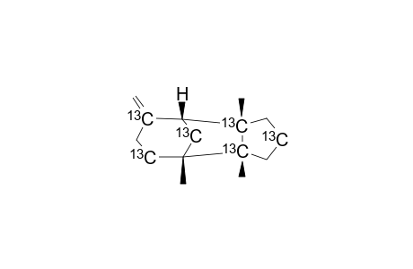 BETA-BARBATENE;2-C(13)-GLUCOSE-LABELLED