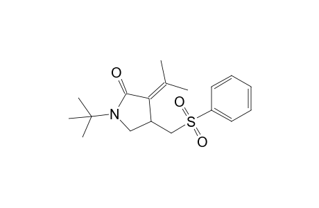 1-tert-Butyl-4-(phenylsulfonylmethyl)-3-propan-2-ylidene-pyrrolidin-2-one