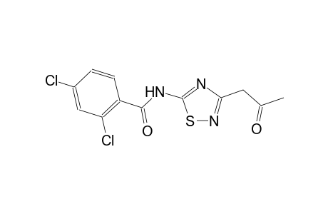 2,4-dichloro-N-[3-(2-oxopropyl)-1,2,4-thiadiazol-5-yl]benzamide