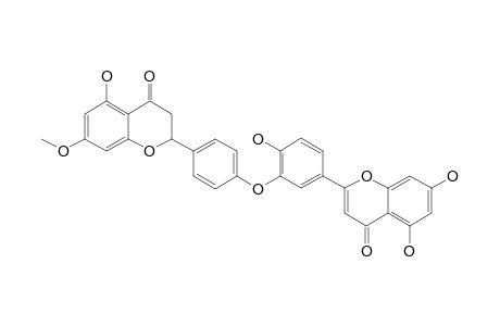 2'',3''-DIHYDROOCHNAFLAVONE-7''-O-METHYLETHER