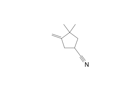 3,3-Dimethyl-4-methylene-1-cyclopentanecarbonitrile