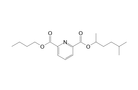 2,6-Pyridinedicarboxylic acid, 5-methylhex-2-yl butyl ester