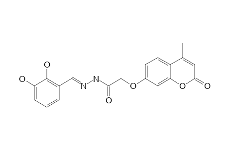 (E)-N'-(2,3-DIHYDROXYBENZYLIDENE)-2-(4-METHYL-2-OXO-2H-CHROMEN-7-YLOXY)-ACETOHYDRAZIDE