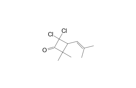 Cyclobutanone, 2,2-dichloro-4,4-dimethyl-3-(2-methyl-1-propenyl)-