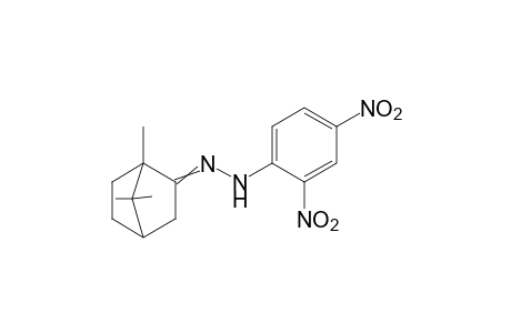 camphor, (2,4-dinitrophenyl)hydrazone