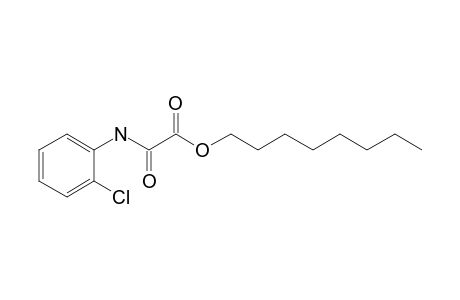 Oxalic acid, momoamide, N-(2-chlorophenyl)-, octyl ester