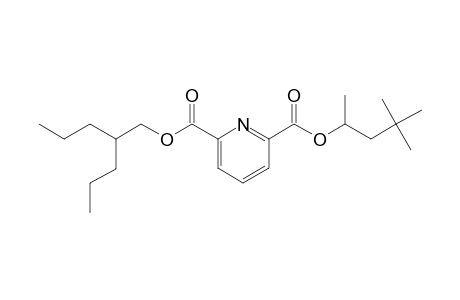 2,6-Pyridinedicarboxylic acid, 4,4-dimethylpent-2-yl 2-propylpentyl ester