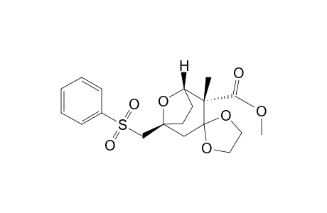 (1R*,4S*,5S*)-4-(Methoxycarbonyl)-4-methyl-1-[(phenylsulfonyl)methyl]-8-oxabicyclo[3.2.1]octan-3-one,Ethylene Acetal